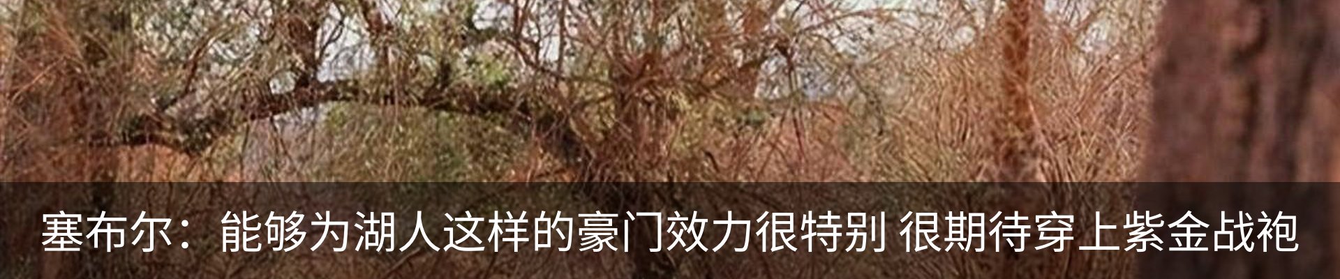 内页banner